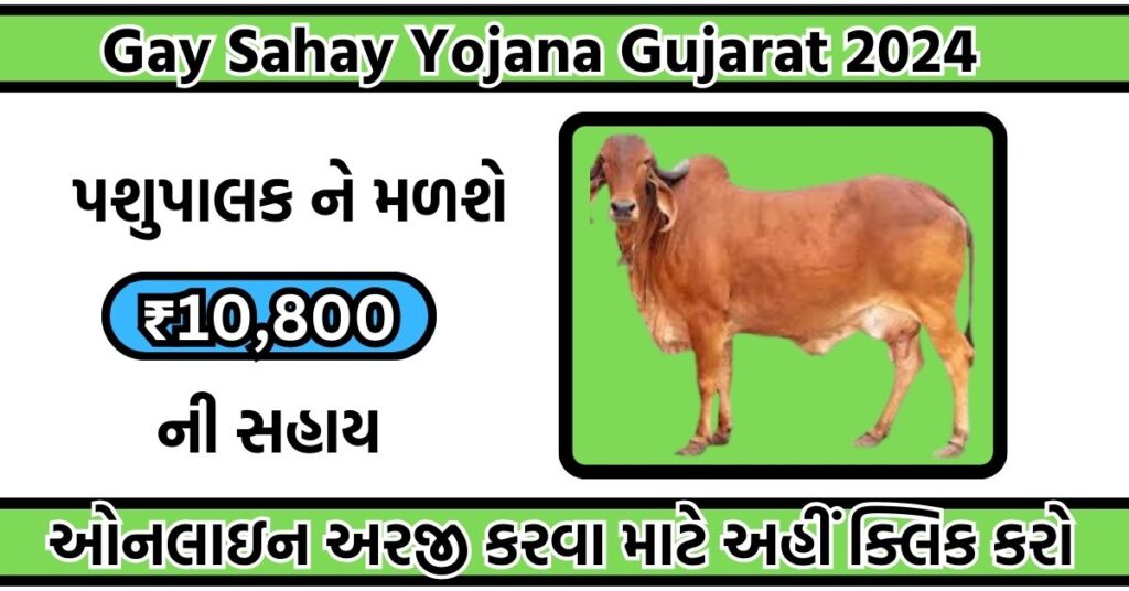 Gay Sahay Yojana Gujarat 2024