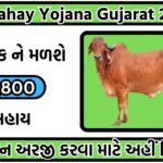 Gay Sahay Yojana Gujarat 2024